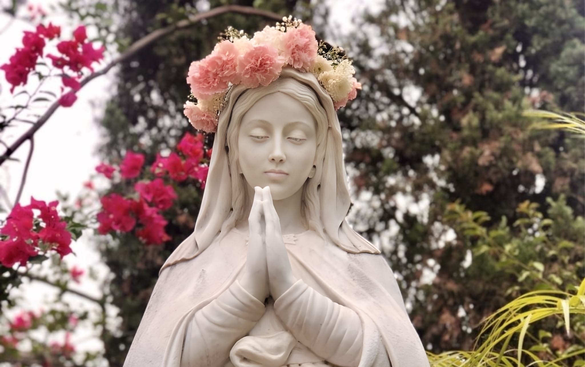 White statue of the Virgin Mary with hands in prayer, wearing a crown of pink and peach flowers, surrounded by red geraniums.