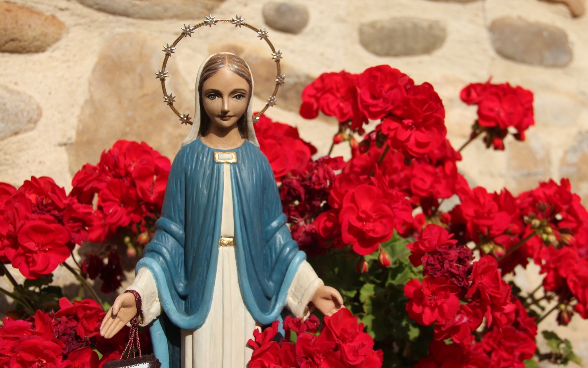 Colorful statue of Our Lady of Garabandal surrounded by bright red geraniums against stone wall.